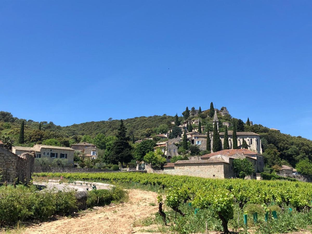 Maison Des Bourgades Saint-Julien-de-Peyrolas エクステリア 写真